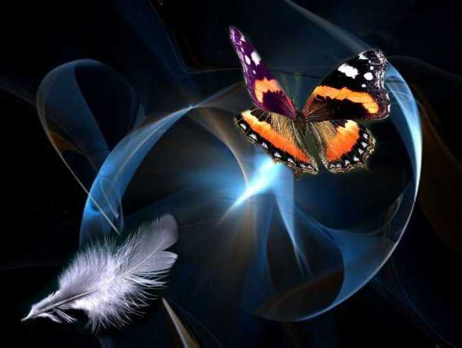 La vita, un sogno con le ali